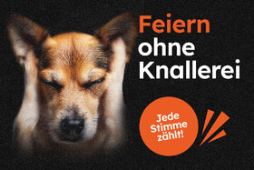 Image of the petition: Festeggiare senza botti: firma ora la presa di posizione sul disegno di legge!