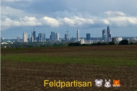 Slika peticije:Feld statt Beton! Stoppt das Bauvorhaben der Stadt Frankfurt für den Erhalt von Natur und Klima