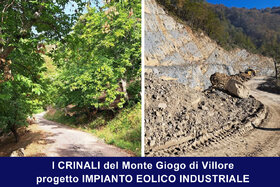 Изображение на петицията: Fermiamo La Devastazione Del Crinale Mugellano, Patrimonio Da Tutelare!