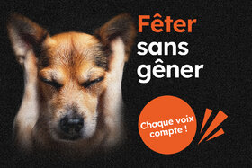 პეტიციის სურათი: Fêter sans pétards – Signez maintenant la prise de position sur le projet de loi !