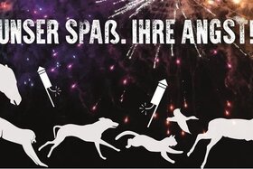 Picture of the petition:Feuerwerk auf Frankfurter Festen verbieten!