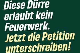 Bild der Petition: Feuerwerk bei „Rhein in Flammen“ 2026 absagen