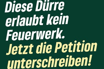 Image de la pétition Feuerwerk bei „Rhein in Flammen“ 2026 absagen