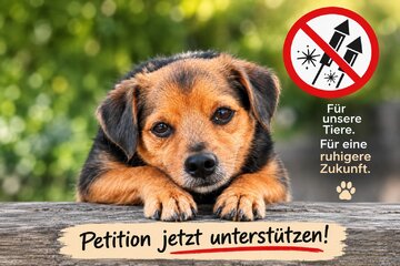 Bild der Petition Feuerwerk nur, wenn es erlaubt ist!
