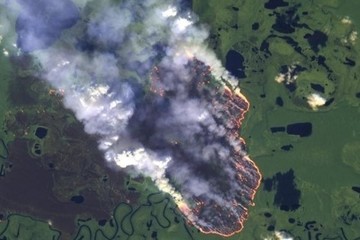Image of the petition Appeal: Stop the Amazonia fire in Brazil!