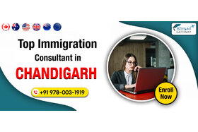 Bild der Petition: Finding Reliable Visa Advisors in Chandigarh