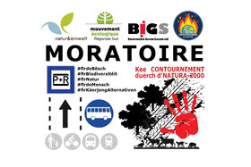 請願書の画像: Fir d'Erhaalen vun der NATURA-2000-Zone an der Biodiversitéit! Kee Contournement zu Käerjeng!