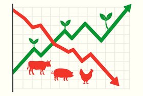 Image of the petition: Fleischprodukte nicht länger ermäßigt zu besteuern.