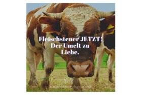Picture of the petition:Fleischsteuer JETZT! Der Umwelt zu Liebe.
