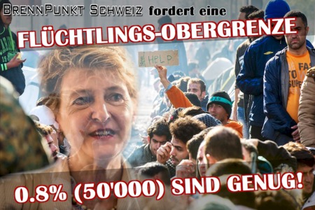 Slika peticije:Flüchtings-Obergrenze: 0,8% (50'000) Sind Genug!