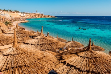 Bild der Petition Flugverbindungen zwischen Deutschland und Sharm El Sheikh