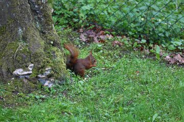 Bild der Petition Flugverbot am Sonntag