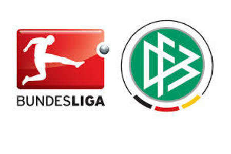 Bild der Petition Förderung der Amateurvereine über die Gewinne der DFL-Vereine