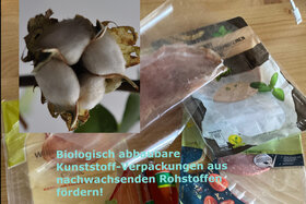 Foto della petizione:Förderung von biologisch abbaubaren Verpackungen aus nachwachsenden Rohstoffen