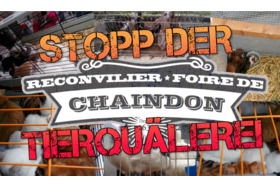 Малюнок петиції:Foire De Chaindon, Es Reicht! Stoppt Die Tierquälerei!