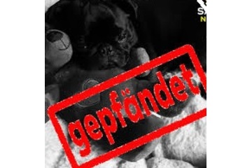 Bild der Petition Forderung der Suspendierung der Vollstreckungsbeamten aus Ahlen