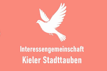 Immagine della petizione Forderung nach Taubenhäusern für Stadttauben in Kiel und als Übergangslösung 5 betreute Futterplätze