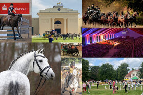 Зображення петиції: Frau Ministerpräsidentin Schwesig, lassen Sie das Landgestüt Redefin nicht sterben!