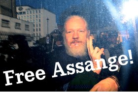 Poza petiției:Free Julian Assange