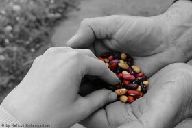 Kuva vetoomuksesta:FREE SEED EXCHANGE for savers of seed diversity