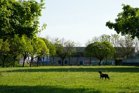 Foto da petição:Eingezäunte Freilauffläche für Hunde in Oldb