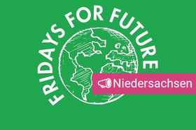 Bilde av begjæringen:Fridays for Future Niedersachsen / Klimaschutz. Jetzt!