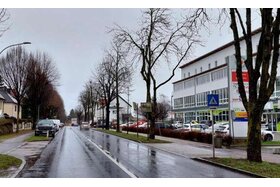 Foto e peticionit:Für den Baumerhalt in der Leopold-Werndl-Strasse in Steyr
