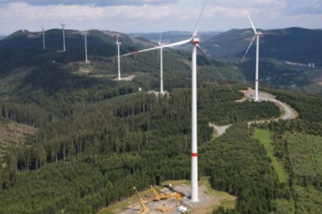 Imagen de la petición Für den Erhalt der artenreichen Natur im windarmen Rammert! Nein zu falsch verstandenem Klimaschutz!