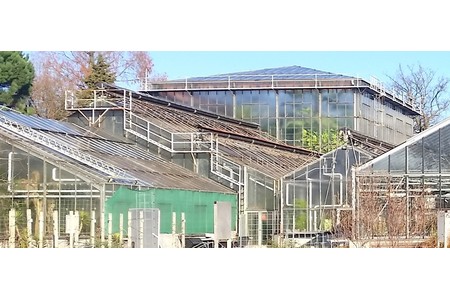Bild der Petition: Für den Erhalt des Botanischen Gartens des KIT Karlsruhe!