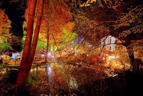 Bild der Petition: Für den Erhalt des Rote Mühle Festivals – Kultur, Gemeinsinn und Zukunft für Falkenberg
