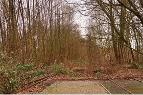 Bild der Petition: Für den Erhalt des Waldes am Alten Bahnhof Westerstede