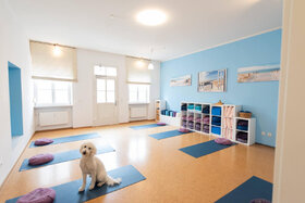 Bild der Petition: Für den Erhalt von kleinen Betrieben und Studios in der Regensburger Altstadt – gegen die Umwandlung