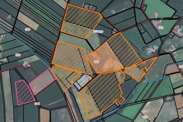 Bild der Petition Für den Schutz der Schweger Landschaft vor dem geplanten Solarpark