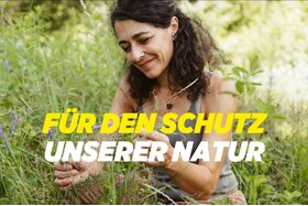 Picture of the petition:Für den Schutz unserer Natur