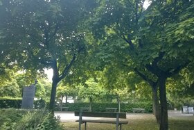 Bild der Petition: Für den Schutz von Umwelt und Klima auf dem Deutschen Platz in Bensberg!