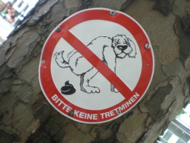 Foto e peticionit:Für die Errichtung und Unterhaltung von Hundetoiletten in der Gemeinde Oberreichenbach