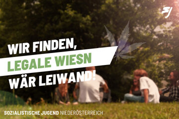 Bild der Petition Für die Legalisierung von Cannabis in Österreich!