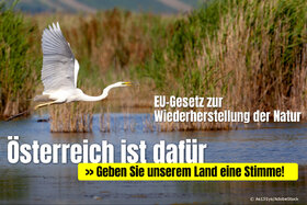 Bild der Petition: Für die Zustimmung Österreichs zum EU-Renaturierungsgesetz