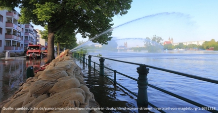 Bild der Petition: Für effektiven Hochwasserschutz und Inkaufnahme der Lindenfällung auf dem Werder