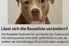Picture of the petition:Für ein faires Hundegesetz in Rheinland-Pfalz – Schluss mit der Rasseliste!