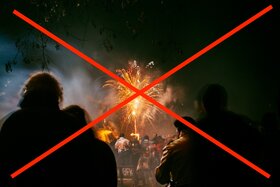 Bild der Petition: Für ein Feuerwerks-Verbot an Silvester in Niedersachsen