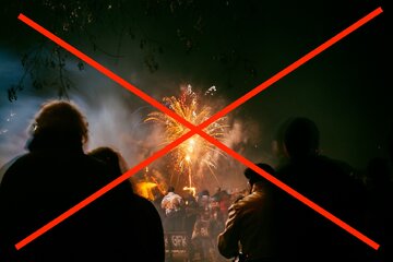 Bild der Petition Für ein Feuerwerks-Verbot an Silvester in Niedersachsen