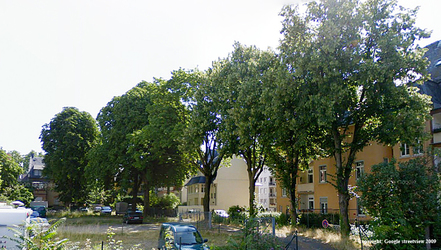 Bild der Petition: Für ein lebenswertes und gesundes Frankfurt-Höchst - Wertvollen alten Baumbestand erhalten