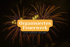 Bild der Petition: Zentrales Feuerwerk statt Privatböller an Silvester