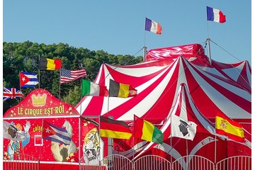 Bild der Petition Für ein Wildtierverbot gibt es keine rechtliche Grundlage im Circus