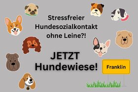 A petíció képe: Für eine HUNDEWIESE auf der Franklin/Mannheim