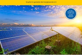 Bild der Petition: Für eine verantwortungsvolle Freiflächen-Photovoltaikanlage am Rippertfeld (Thomashof/ Stupferich)