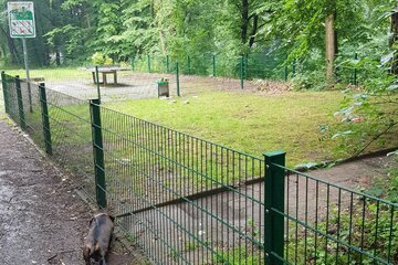 Bild der Petition Für einen Hundepark in Neustadt