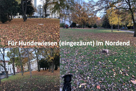 Foto e peticionit:Für Hundewiesen (eingezäunt) im Frankfurter Nordend