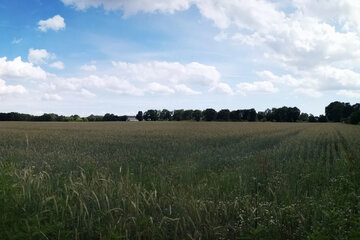 A petíció képe Für Lebensqualität statt Fehlplanung – Blomenquartier in Achim (Hassel-Ost) stoppen!
